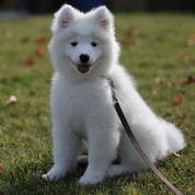 photograph by PeterW